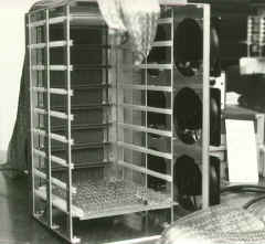 ncsu-12.jpg (68553 bytes)